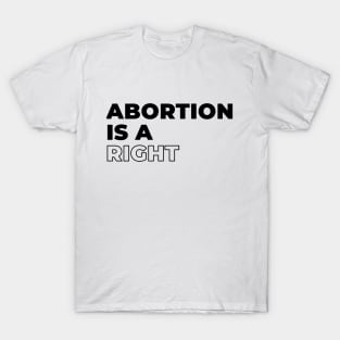 Abortion Feminist Women's Right Pro Life Human Rights T-Shirt